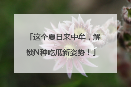 这个夏日来中牟，解锁N种吃瓜新姿势！
