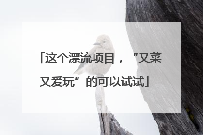 这个漂流项目，“又菜又爱玩”的可以试试