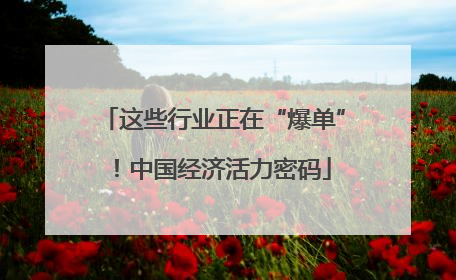 这些行业正在“爆单”！中国经济活力密码