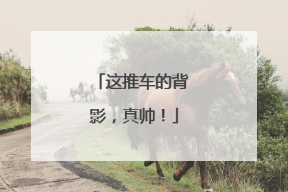 这推车的背影，真帅！