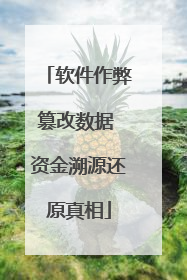软件作弊篡改数据 资金溯源还原真相
