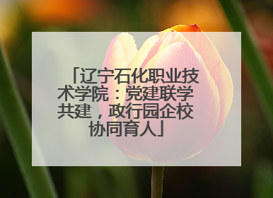 辽宁石化职业技术学院：党建联学共建，政行园企校协同育人