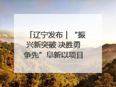 辽宁发布｜“振兴新突破 决胜勇争先”阜新以项目攻坚破解发展瓶颈 经济发展实现良好开局