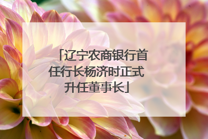 辽宁农商银行首任行长杨济时正式升任董事长