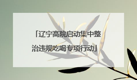 辽宁高院启动集中整治违规吃喝专项行动