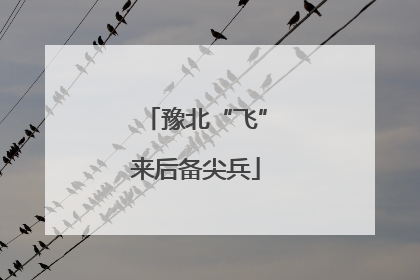 豫北“飞”来后备尖兵