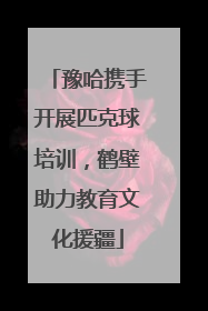 豫哈携手开展匹克球培训，鹤壁助力教育文化援疆