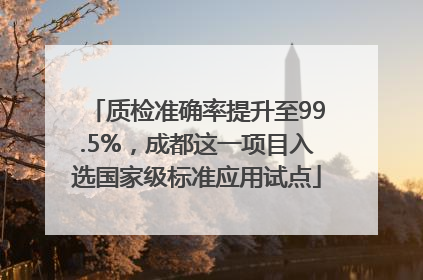 质检准确率提升至99.5%，成都这一项目入选国家级标准应用试点