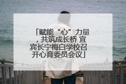 赋能“心”力量，共筑成长桥 宜宾长宁梅白学校召开心育委员会议