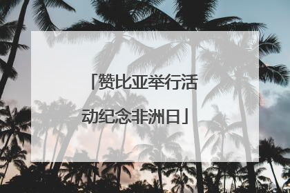 赞比亚举行活动纪念非洲日