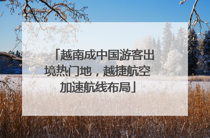 越南成中国游客出境热门地，越捷航空加速航线布局