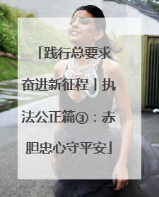 践行总要求 奋进新征程丨执法公正篇③：赤胆忠心守平安