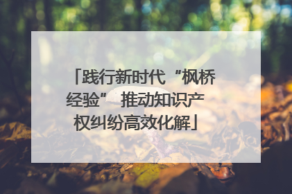 践行新时代“枫桥经验” 推动知识产权纠纷高效化解