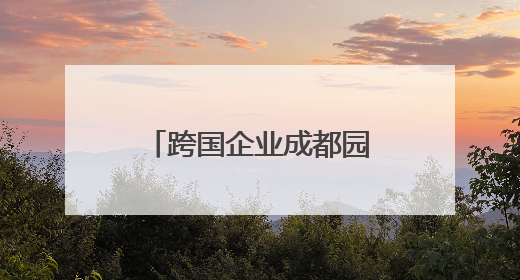 跨国企业成都园区行，意大利企业家忙着加微信，看好成都产业优势