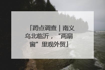 蹲点调查｜南义乌北临沂，“两扇窗”里观外贸