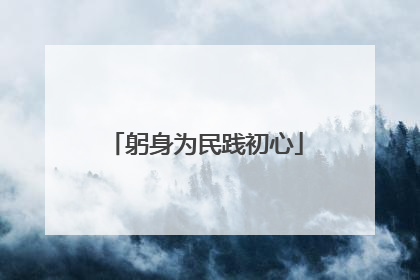 躬身为民践初心