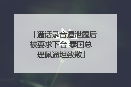 通话录音遭泄露后被要求下台 泰国总理佩通坦致歉