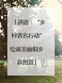 通道：“乡村著名行动”绘就美丽侗乡新图景