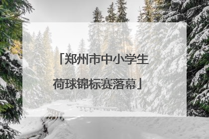 郑州市中小学生荷球锦标赛落幕