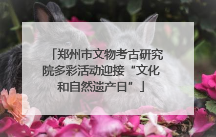 郑州市文物考古研究院多彩活动迎接“文化和自然遗产日”