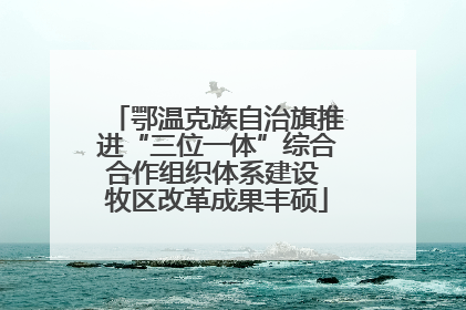 鄂温克族自治旗推进“三位一体”综合合作组织体系建设 牧区改革成果丰硕