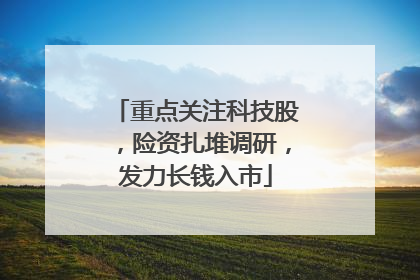 重点关注科技股，险资扎堆调研，发力长钱入市