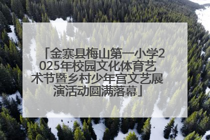 金寨县梅山第一小学2025年校园文化体育艺术节暨乡村少年宫文艺展演活动圆满落幕