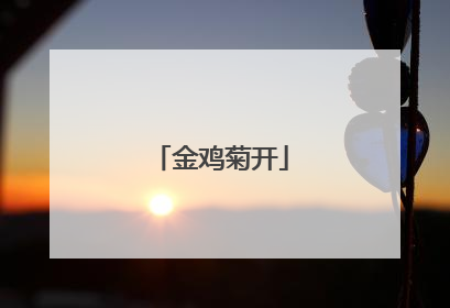 金鸡菊开