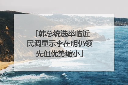 韩总统选举临近 民调显示李在明仍领先但优势缩小