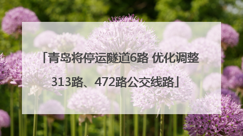 青岛将停运隧道6路 优化调整313路、472路公交线路