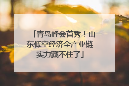 青岛峰会首秀！山东低空经济全产业链实力藏不住了