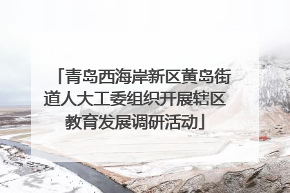 青岛西海岸新区黄岛街道人大工委组织开展辖区教育发展调研活动