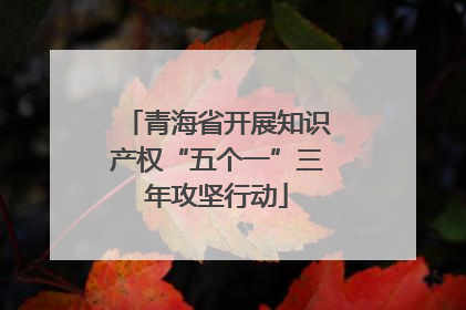 青海省开展知识产权“五个一”三年攻坚行动