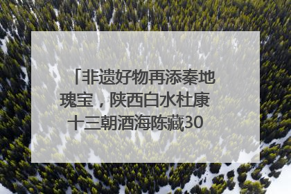 非遗好物再添秦地瑰宝，陕西白水杜康十三朝酒海陈藏30年别具一格