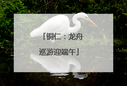 铜仁：龙舟巡游迎端午