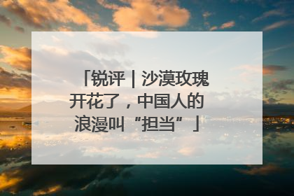 锐评｜沙漠玫瑰开花了，中国人的浪漫叫“担当”