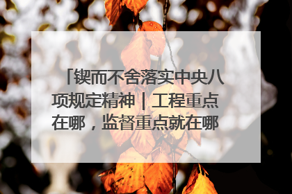 锲而不舍落实中央八项规定精神｜工程重点在哪，监督重点就在哪——广西深化政治监督护航平陆运河建设
