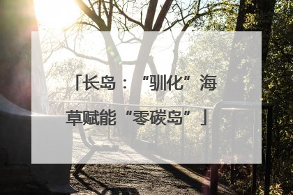 长岛：“驯化”海草赋能“零碳岛”