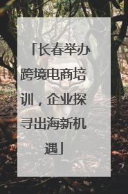 长春举办跨境电商培训，企业探寻出海新机遇