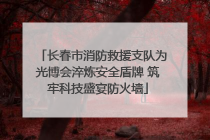 长春市消防救援支队为光博会淬炼安全盾牌 筑牢科技盛宴防火墙