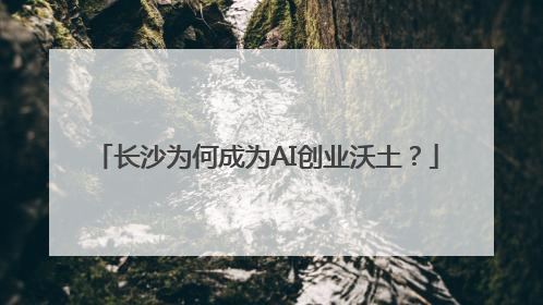 长沙为何成为AI创业沃土？