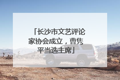长沙市文艺评论家协会成立，曹隽平当选主席