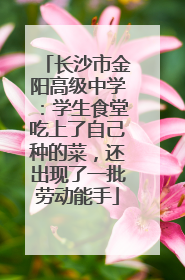 长沙市金阳高级中学：学生食堂吃上了自己种的菜，还出现了一批劳动能手