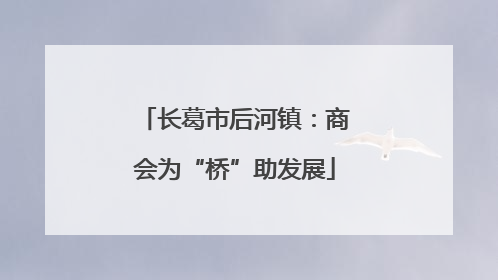 长葛市后河镇：商会为“桥”助发展