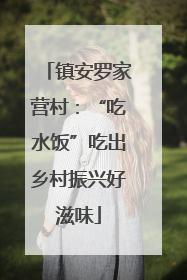 镇安罗家营村：“吃水饭”吃出乡村振兴好滋味