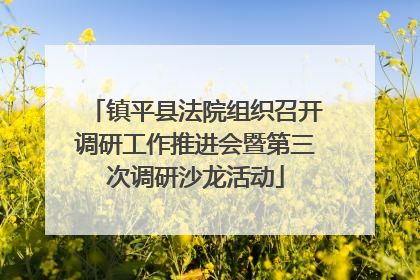 镇平县法院组织召开调研工作推进会暨第三次调研沙龙活动
