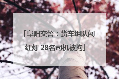 阜阳交警：货车组队闯红灯 28名司机被拘