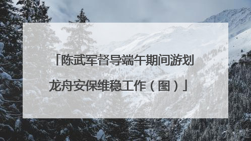 陈武军督导端午期间游划龙舟安保维稳工作（图）