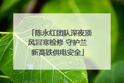 陈永红团队深夜顶风冒寒检修 守护兰新高铁供电安全
