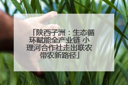 陕西子洲：生态循环赋能全产业链 小理河合作社走出联农带农新路径